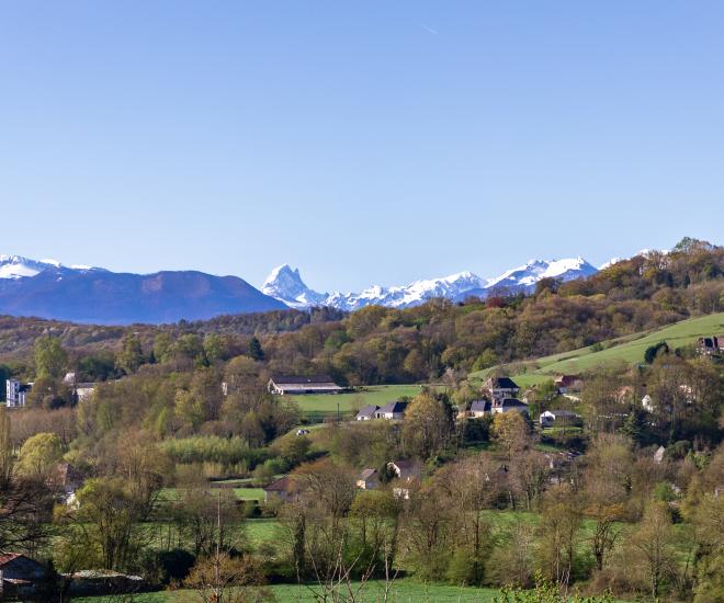 Campagne Vue Terrain
